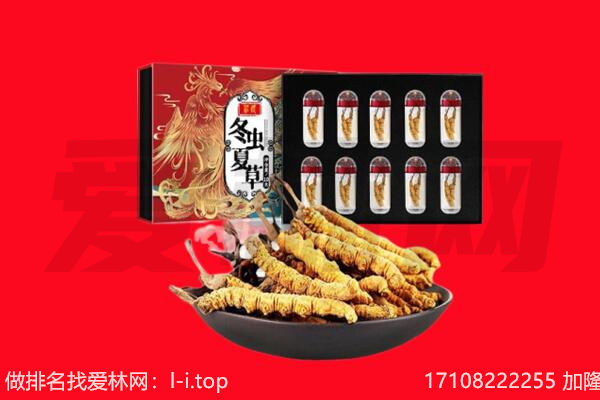 遵义市仁怀回收虫草.jpg